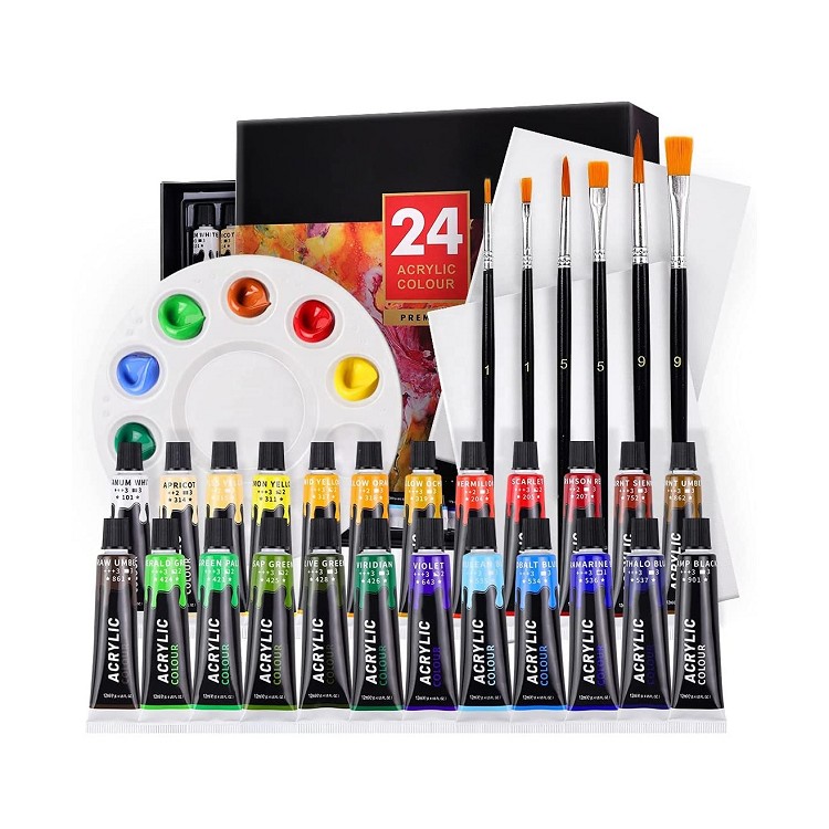 basic acrylic paints non-toxic art acrylic paints 12ml 24 acrylic paint set with 6 Brushes,1 Palette and 2 Canvas
