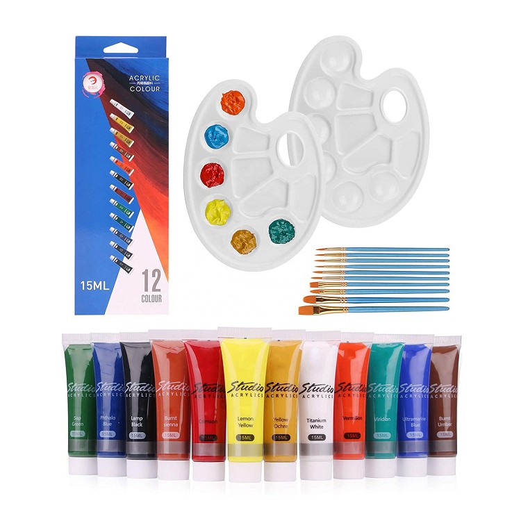 acrylic paint 12 color set with 10 Brushes,2 Palettes, professional acrylic paint set For Beginners painting acrylic colors