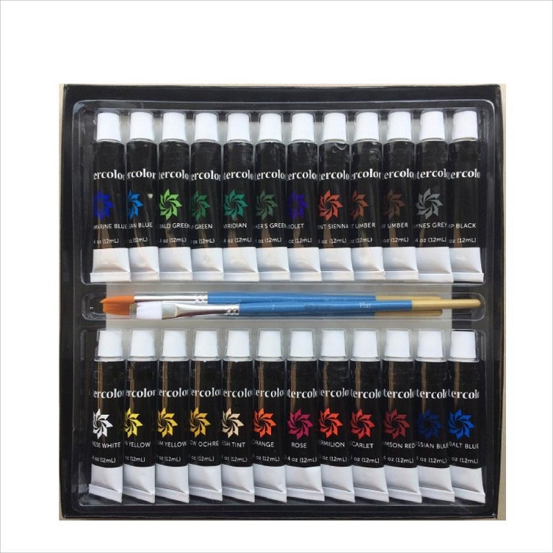 Non - toxic 12ml Artist Acrylic Paint 24 with 3 brushes