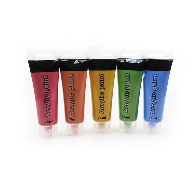 Hot Selling Professional Non-toxic 5 Colors Artist Color Paint Set Acrylic