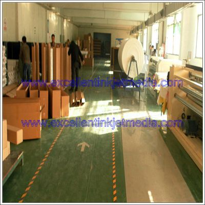 260gsm Solvent Polyester Canvas Matt