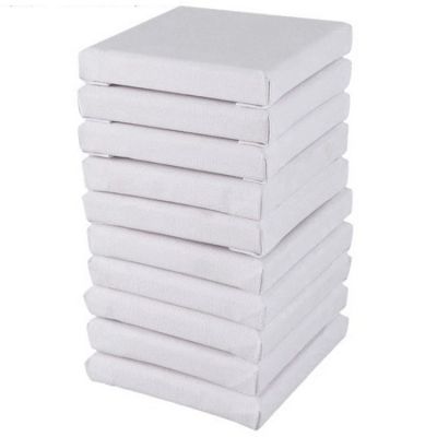 White Blank Stretched Artist Canvas