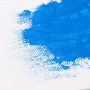 Canvas Oil Painting Professional Artist Canvas stretched Canvas