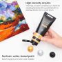 14 Colors/Pouches (120 ml/4.06 oz.) with Storage Box, Rich Pigments art kids Acrylic Paint Set