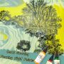 Directly Factory new coral growing acrylic pouring paint fluid pouring acrylic paint set for fluid art