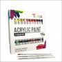 24 Acrylic Paint Set with 3 brushes with 12 ml Each Alu Tube