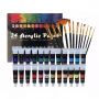 Professional Factory 24 Colors Artist DIY Painting Art Acrylic Paint