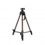 Professional Modern Lightweight Portable Gold Display Artist Drawing Oil Painting Easel Stand