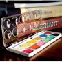 factory hot selling 12 colors solid watercolor paint palette with transparent PVC box
