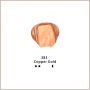 Acrylic Paint for Art Paints, Decorate, Copper Gold 4.05 Ounce/120ml Acrylic Paint Supplies for Wood, Fabric, Crafts