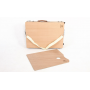 2021 Art Light Weight French Style Field and Sketchebox Easel with Aluminum Tripod