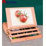 Grand Solana Adjustable Portable Wooden 3-Drawer Storage Box Easel with Fold Down Canvas Easel Book Stand