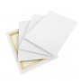 Popular Super Value Quality Acid Free Stretched Canvas For Artist Painting