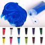 Acrylic Paint Set 12 Colors 75ml Water-Based Blendable Paints Art Supplies for Canvas Wood Rocks Fabrics